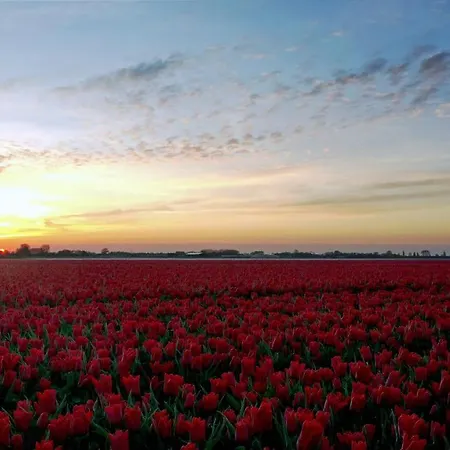 Rustiek