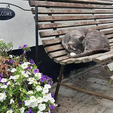 Rustiek אנדייק